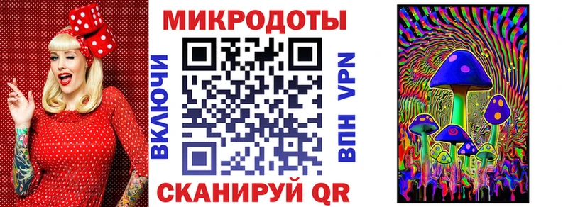 blacksprut ТОР Нерчинск Псилоцибиновые грибы Psilocybine cubensis