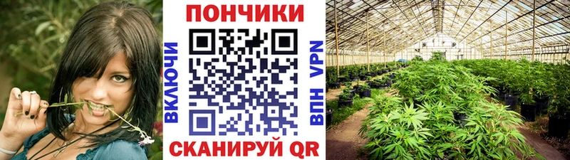 Бошки Шишки семена  цена   Нерчинск 